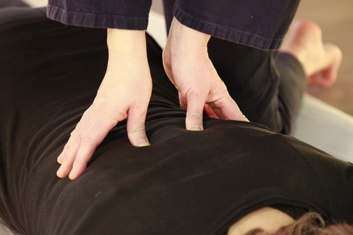 Shiatsu (Petit-Roeulx)